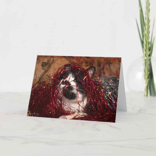 Naughty tuxedo kitty Weihnachten (Vorderseite)