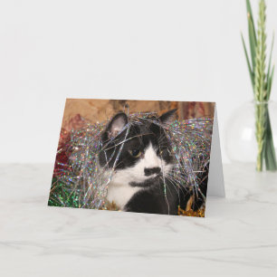 Naughty tuxedo kitty Weihnachten