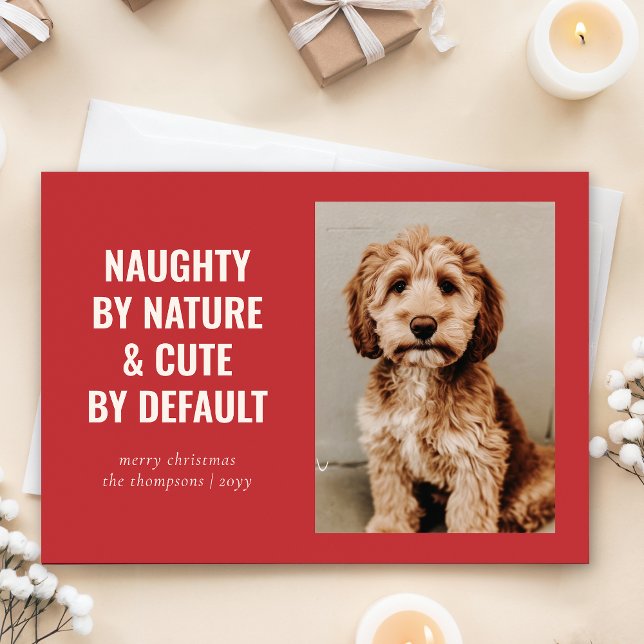 Naughty und Niedlich Funny Dog Weihnachten Foto (Von Creator hochgeladen)