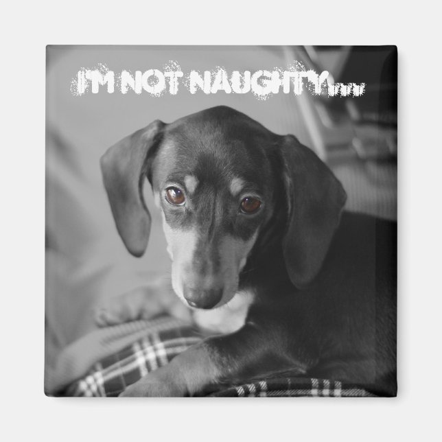 Naughty-Weiner-Hund Magnet (Vorne)