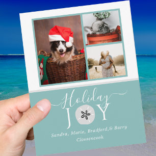 Nautic Aquamarin Joy Sand Dollar 3 Foto Weihnachte