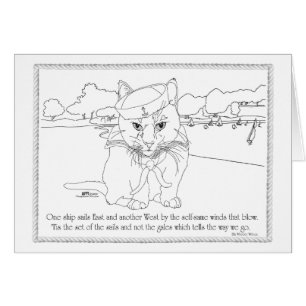 Nautical Cat - Die Segel richtig einstellen