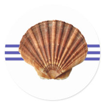 Nautical Seashell - Circle Sticker