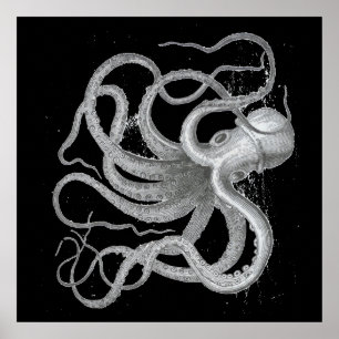 Nautical Steampunk Octopus Vintag Kraken Zeichnend Poster