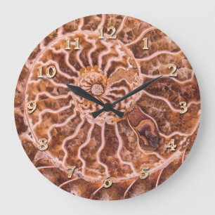 NAUTILUS ALTE SPIRALE GROßE WANDUHR