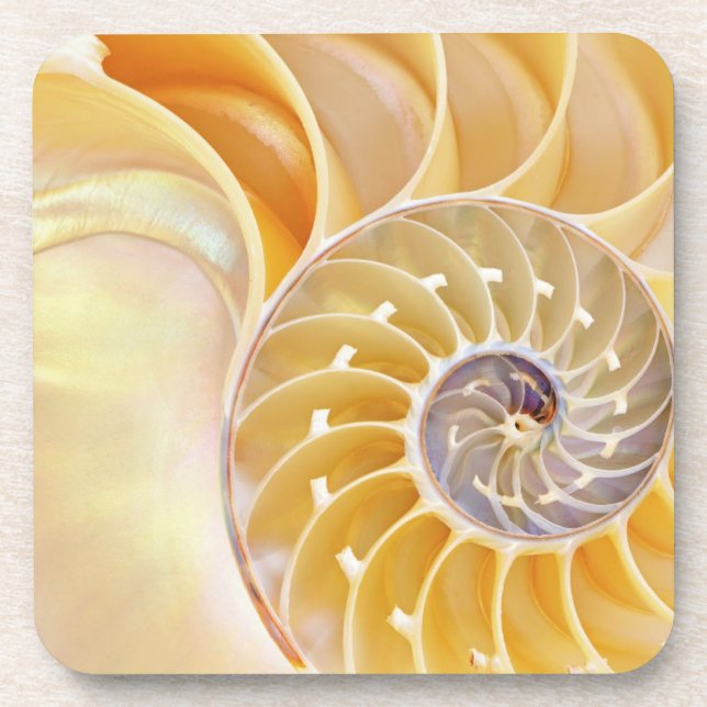 Nautilus harter Kunststoff-Untersetzer Getränkeuntersetzer (Vorderseite)