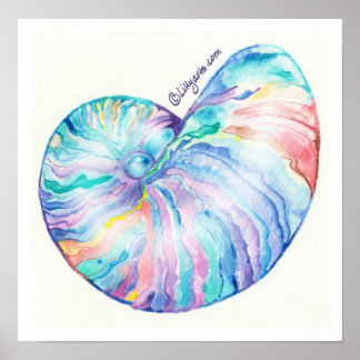 Nautilus Infinity Fine Art Print and Poster