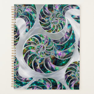 Nautilus Muschel Abalone und Pearl Planer