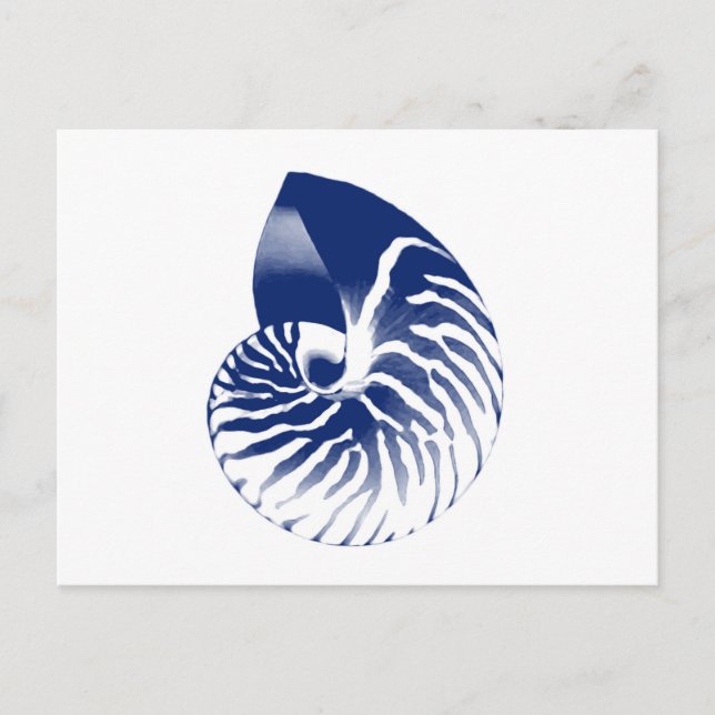 Nautilus-Muschel - blau und weiß Postkarte (Vorderseite)