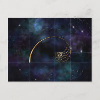 Nautilus-Muschel - Heilige Geometrie