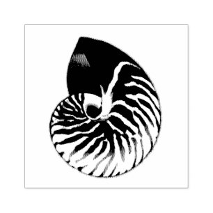 Nautilus Muschel Illustration Gummistempel