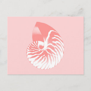 Nautilus-Muschel - Korallenrosa und Weiß Postkarte