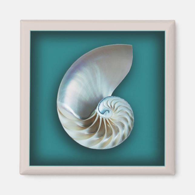 Nautilus-Muschel-Magnet Magnet (Vorne)