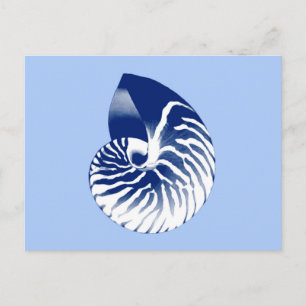Nautilus Muschel - Marine, weiß & hellblau Postkarte