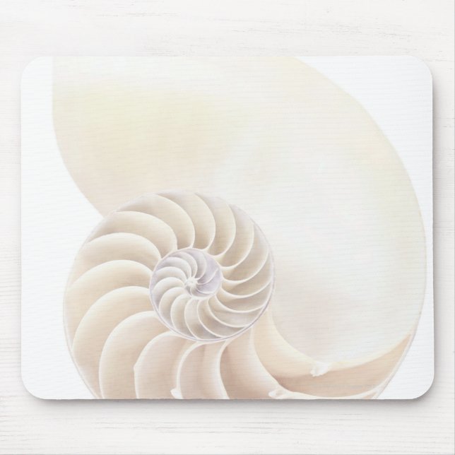 Nautilus-Muschel, nah Mousepad (Vorne)