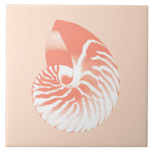 Nautilus-Muschel - orange und weiß Fliese