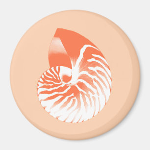 Nautilus-Muschel - orange und weiß Magnet