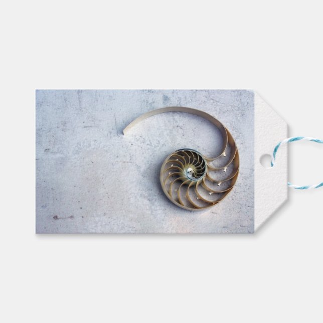 nautilus Muschel seashell Fibonacci Spiralgeschenk Geschenkanhänger (Vorderseite (Horizontal))