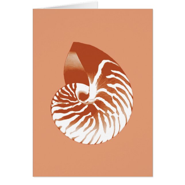 Nautilus-Muschel - Terrakotta und Weiß (Vorne)