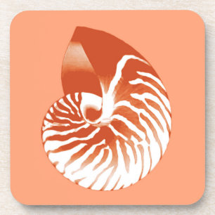 Nautilus-Muschel - Terrakotta und Weiß Getränkeuntersetzer