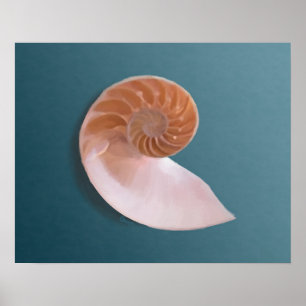 Nautilus-Muschel über Ocean Blue Fine Art Print Poster