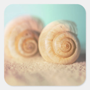 Nautilus-Muscheln am Strand Quadratischer Aufkleber