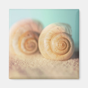 Nautilus-Muscheln auf Strand Magnet