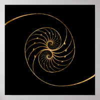 Nautilus-Muscheln - Goldenes Paar