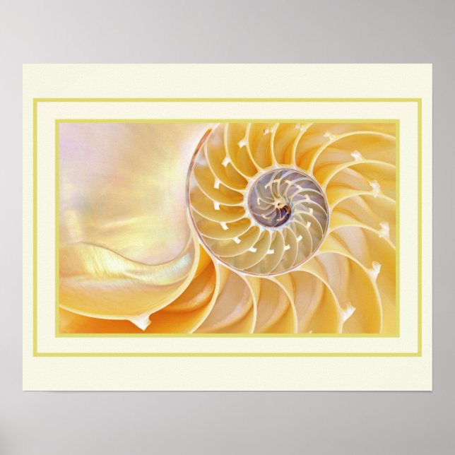 Nautilus Poster (Vorne)