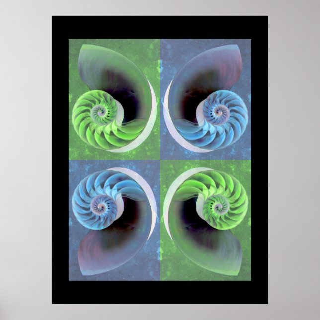 Nautilus-Poster Poster (Vorne)