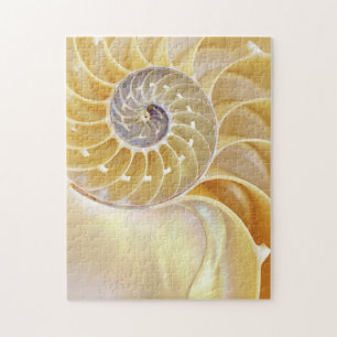 Nautilus Puzzle
