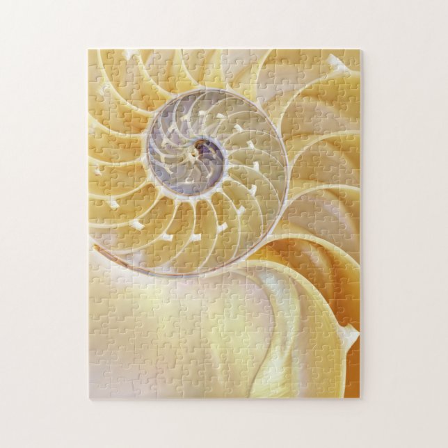 Nautilus Puzzle (Vertikal)