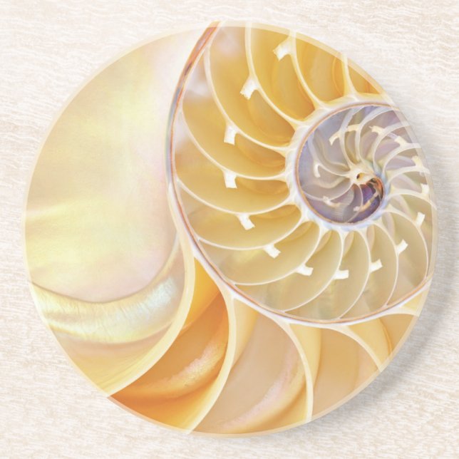 Nautilus Sandstone Untersetzer (Vorne)