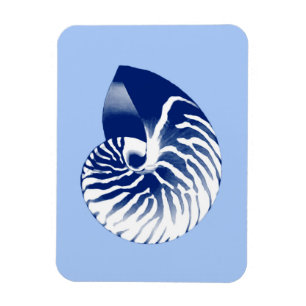 Nautilus-Schnecke - marine, weiß & hellblau Magnet