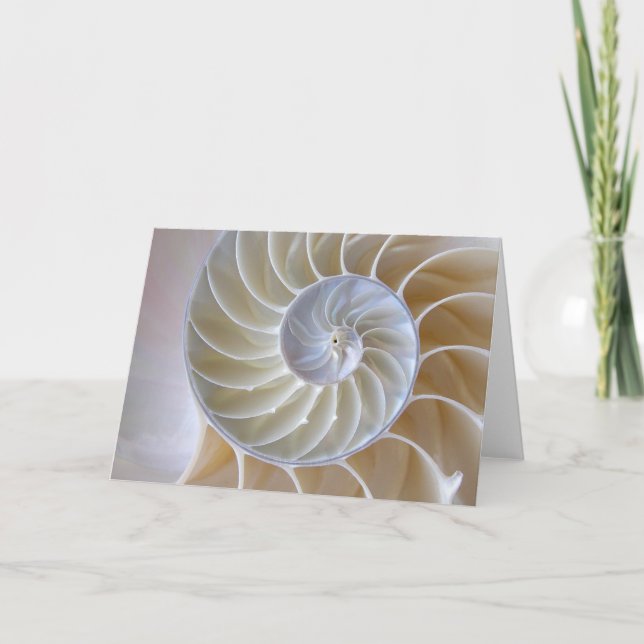 Nautilus Seashell| Goldener Spiral Karte (Vorderseite)