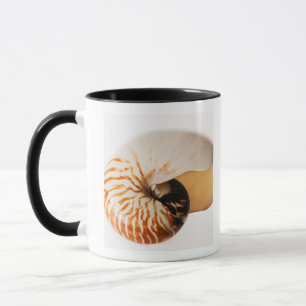 Nautilus Seashell (Nautilus stenomphalus) Tasse
