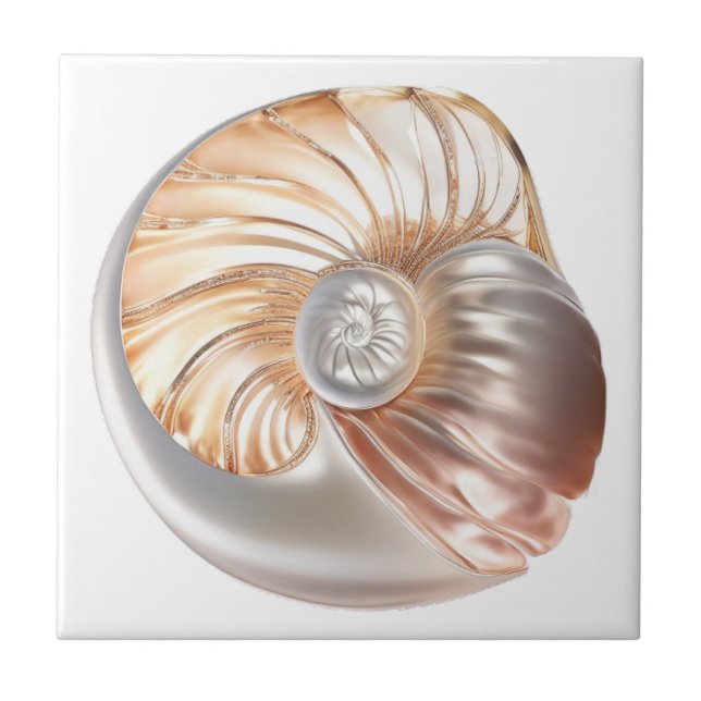 Nautilus seashell orange Perle 3D Strand Meer Fliese (Vorderseite)