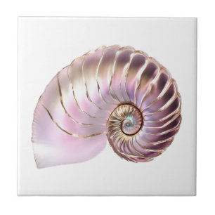 Nautilus seashell rosa Gold 3D Strand nautisch Fliese