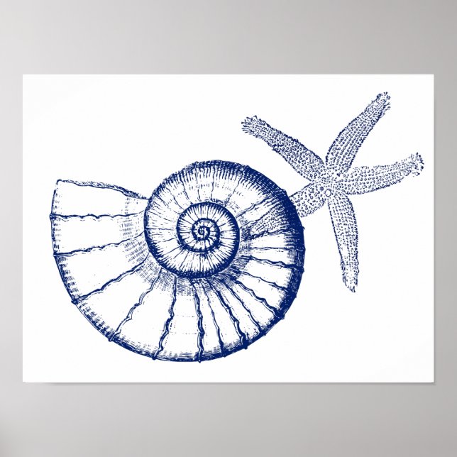 Nautilus Seashell & Starfish Meereslebewesen Poster (Vorne)