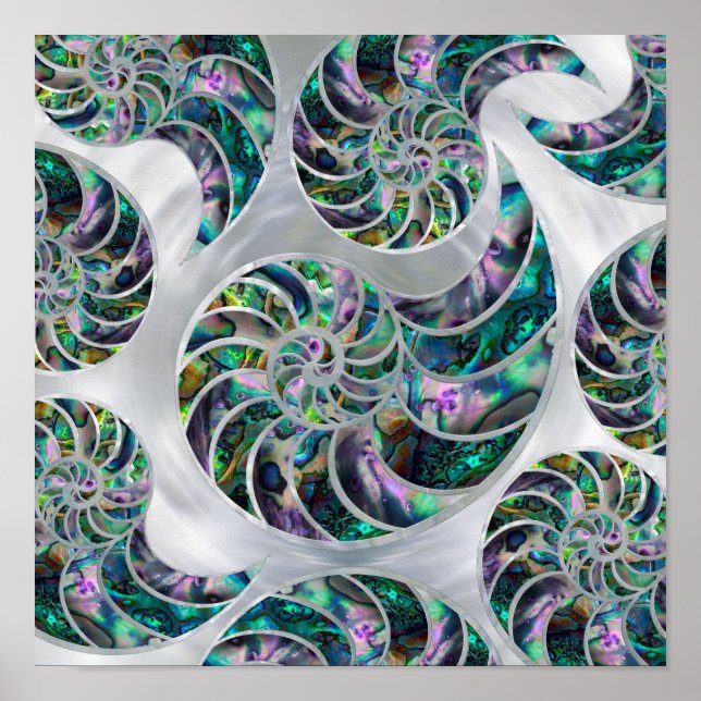 Nautilus Shell Abalone and Pearl Poster (Vorne)
