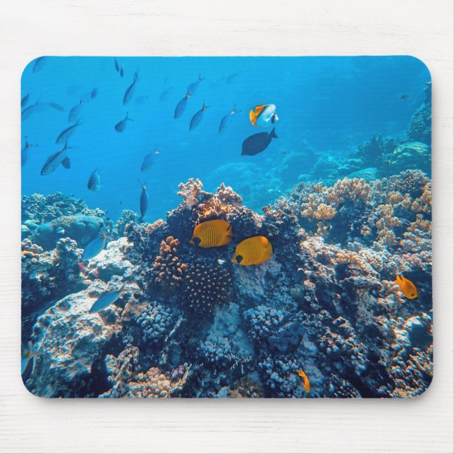 Nautische Fotos Meerestierfotografie Fische Pic Mousepad (Vorne)