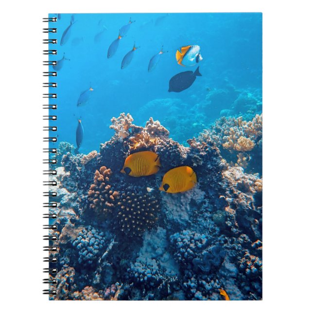 Nautische Fotos Meerestierfotografie Fische Pic Notizblock (Vorderseite)