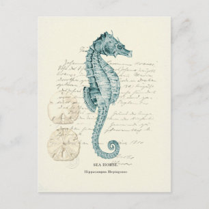 Nautische Mile Postkarte