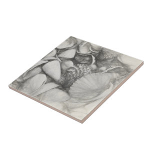 Nautische Muscheln Ocean Beach Vintag Antique Fliese