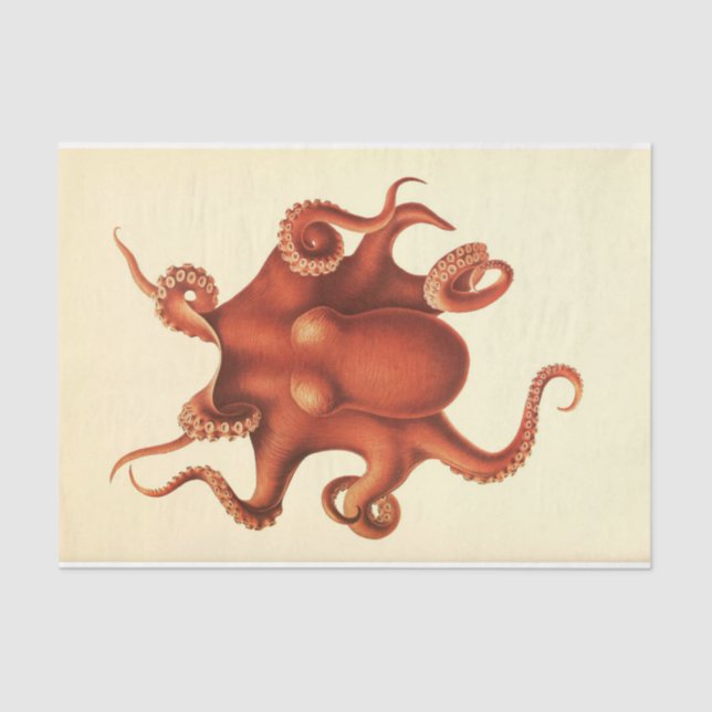 Nautischer Oktopus Ephemera Decoupage Red Seidenpapier (Vorderseite)