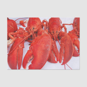 Nautischer Ozean-Rot-Hummer Seidenpapier