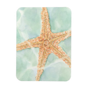 Nautischer Starfish im Wasser Magnet