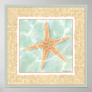 Nautischer Starfish im Wasser Poster