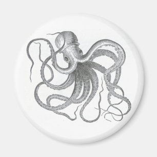 Nautisches Steampunk-Oktopus-Vintage-Design Magnet