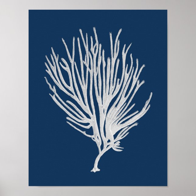 Navy Beach Decor Sea Coral Gerahmte Mauer Art #12 Poster (Vorne)